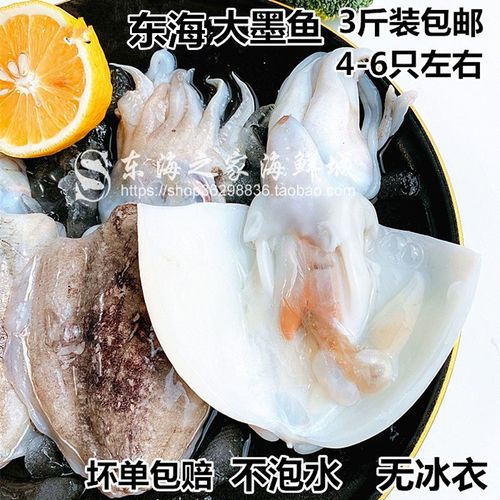 新貨包郵3斤裝東海大墨魚鮮活冷凍大烏賊海鮮水產品壞單包賠無冰