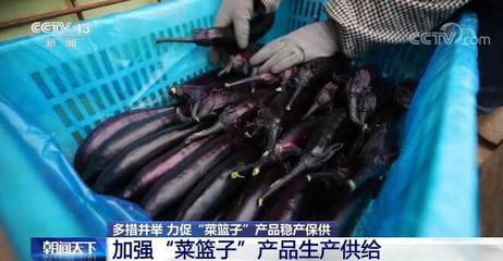 農業農村部多舉措力促蔬菜肉蛋奶等“菜籃子”產品穩產保供